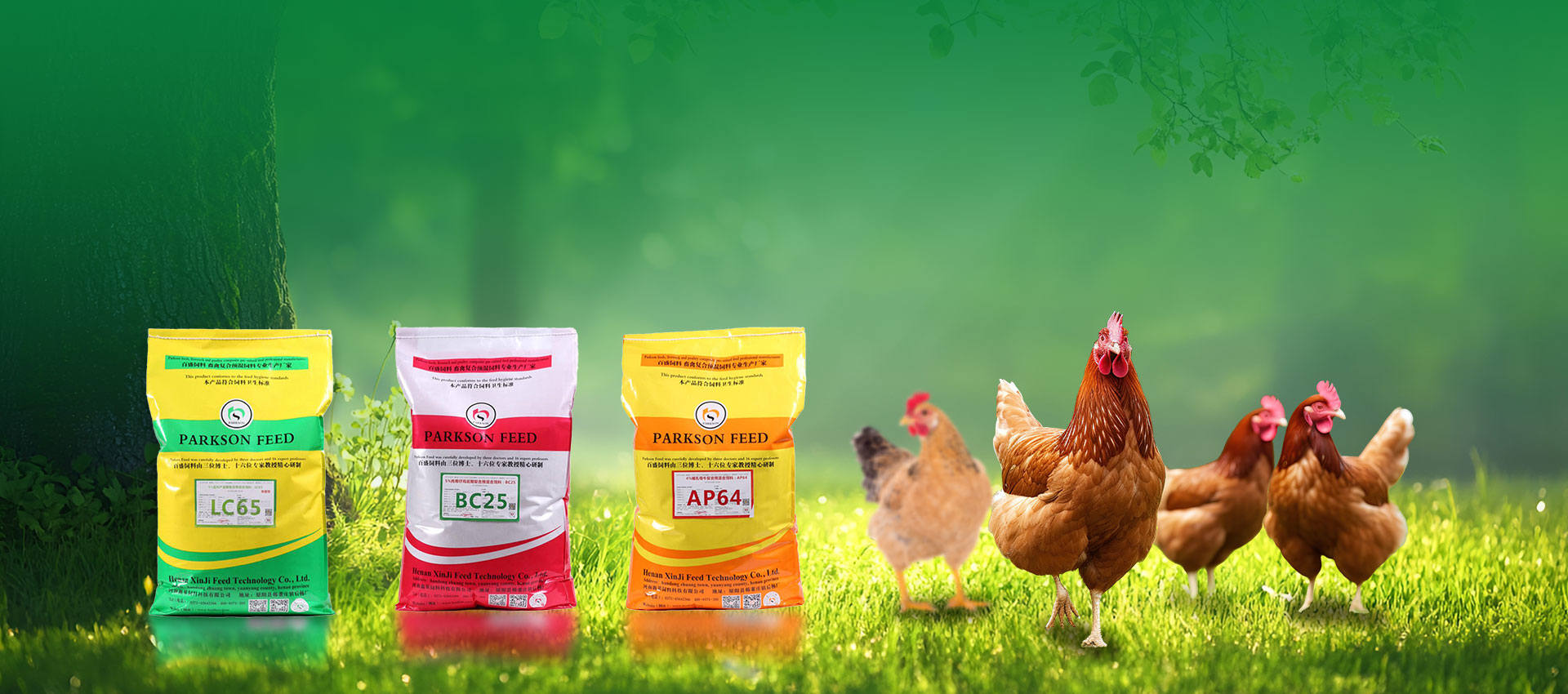 Profesionální výrobce kuřecích premixů